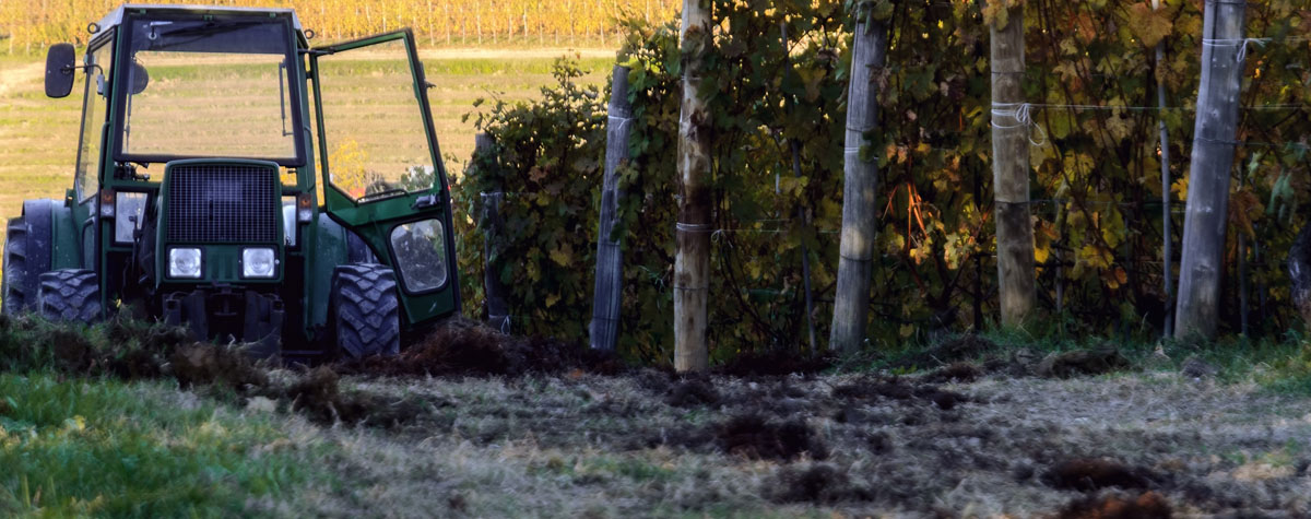 Manure, bacteria and terroir: the link